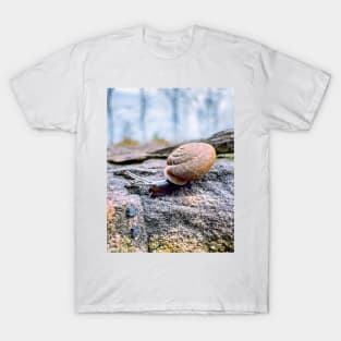 Garden Snail T-Shirt